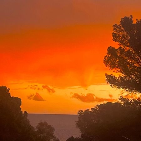 Maison Classee Sur Le Golfe De St Tropez Saint-Tropez Exterior foto
